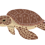 <strong>亀ナレフ</strong>